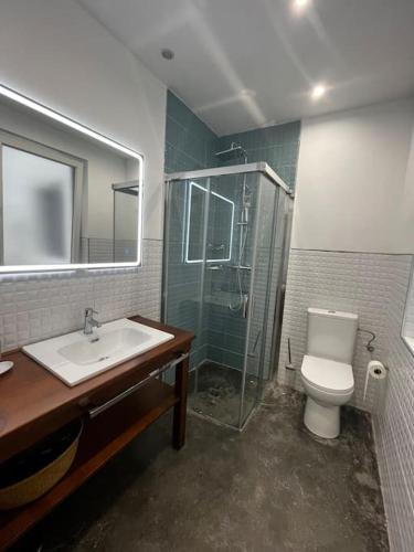 a bathroom with a toilet and a sink and a shower at Jardín en el centro Catedral in Oviedo