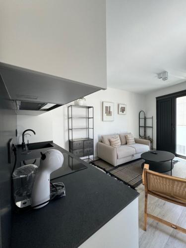 a kitchen and living room with a sink and a couch at Loft Huerto Old Town in Estepona
