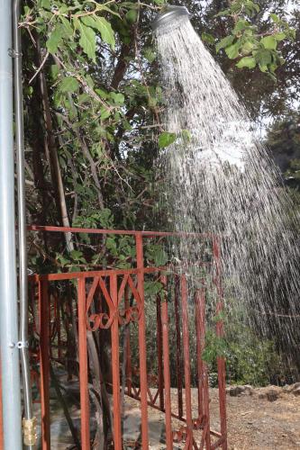 a water hose being used to irrigate a tree at Δωμάτια Κόκκινος Πύργος in Plomarion