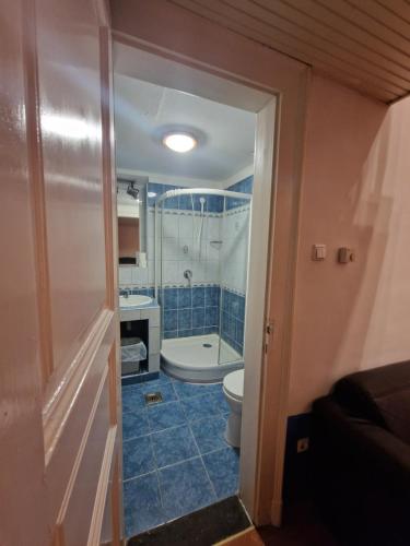 a bathroom with a tub and a toilet and a shower at Apartman 4 YOU 2. in Budapest