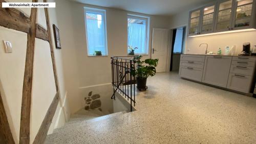 a kitchen with white cabinets and a potted plant at Blaue Perle Templin in Templin
