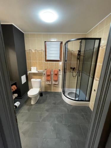 a bathroom with a shower and a toilet and a sink at Rigel in Varaždinske Toplice