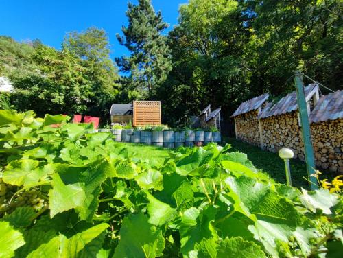 Κήπος έξω από το Riesling - Wohnen im Weinberg in der Toskana des Nordens