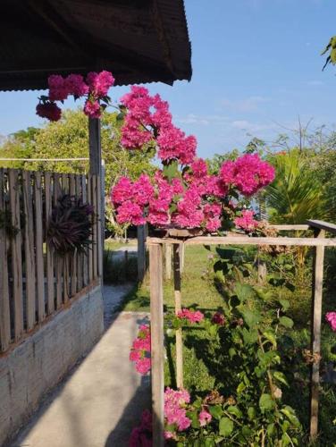 Sitio completo no rio aneba com quiosque e praiaにある庭