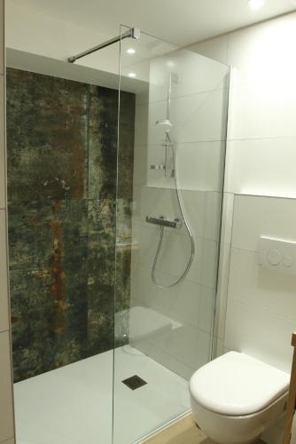 a bathroom with a glass shower with a toilet at La ferme de Berlioz in La Côte-Saint-André