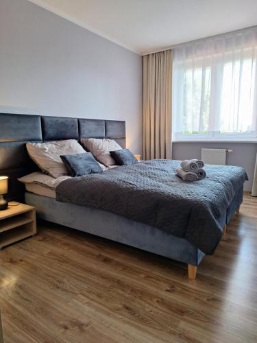 a bedroom with a large bed in a room at Apartament na Polnej in Chełmno