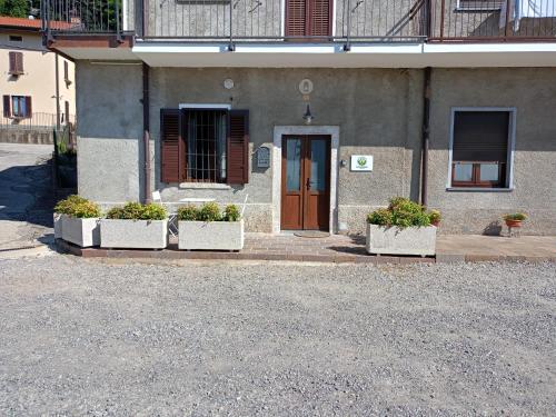 three potted plants sitting in front of a building at Galbanera turismo in Albavilla
