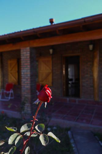 eine rote Rose vor einem Haus in der Unterkunft Casa de campo in Los Hornillos