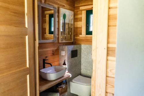 a bathroom with a sink and a toilet at Głuszecki las in Skórcz