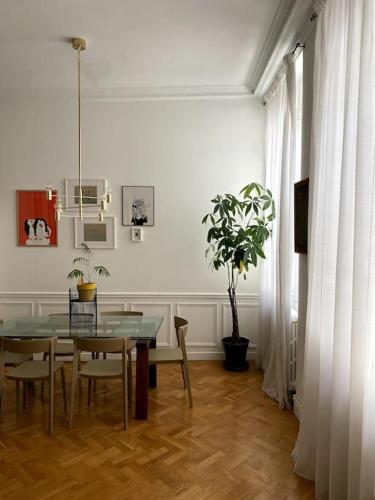 une salle à manger avec une table et une plante en pot dans l'établissement Stunning family Flat at the very heart of Paris, à Paris