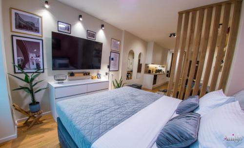 a bedroom with a large bed and a television at Iris Studio Apartment in Mostar