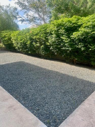 a shadow on the ground next to some bushes at Gamay Souterrain Apartment, near beach in Curaçao in Jan Thiel