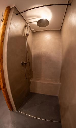 a shower in a bathroom with aroundscribedscribedscribed at Panoramaapartment am Ochsenkopf in Bischofsgrün