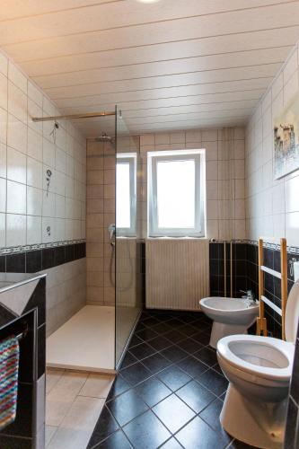 a bathroom with a shower and a toilet and a sink at Apartment Ina in Bled