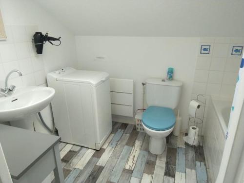 une salle de bain avec des toilettes bleues et un lavabo dans l'établissement Deux pièces centre historique, à Vannes