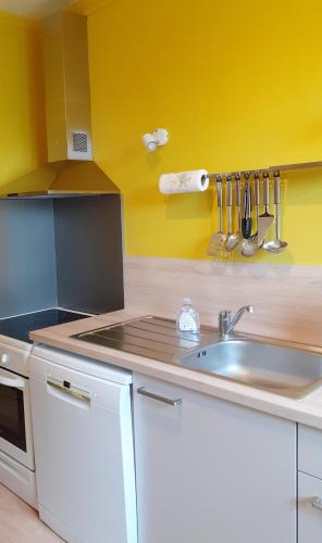 une cuisine avec un évier et un plan de travail dans l'établissement Le Quai de Juillet, à Caen