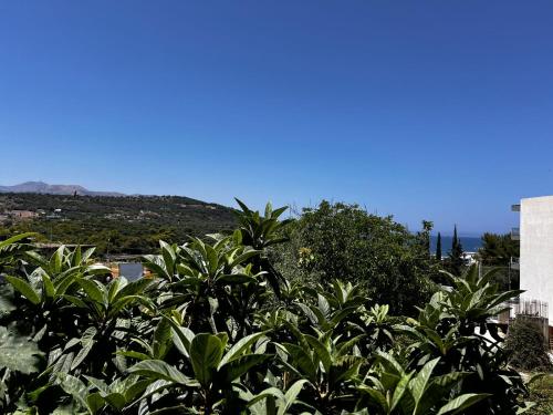 Villa Sadik
