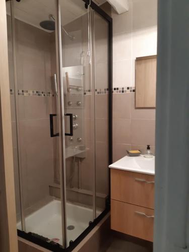 une salle de bain avec douche et lavabo dans l'établissement Appartement en rez de villa, à Saint-Raphaël