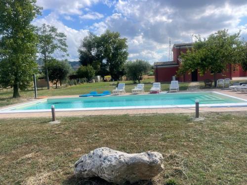 a swimming pool with a rock in the grass at Villa Vinci in Recanati