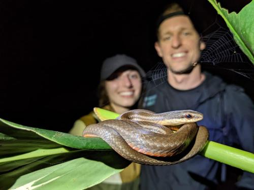 a man holding a snake on a plant at Chilamate Room 2 in Tortuguero
