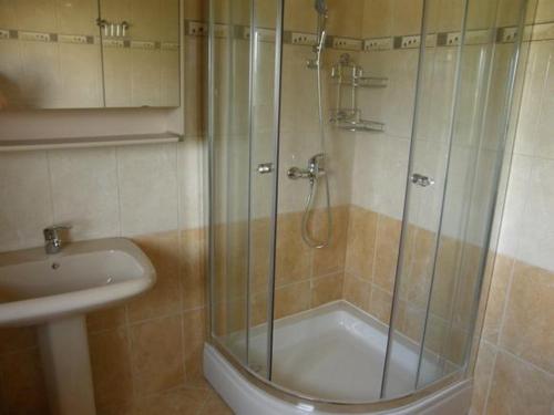 a shower with a glass door next to a sink at Apartman Iris in Gabonjin