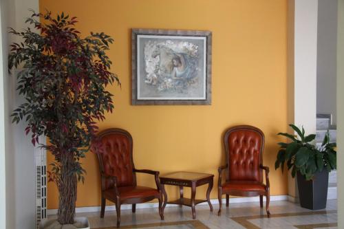 a waiting room with two chairs and a plant at Hotel Giorgio in Athens