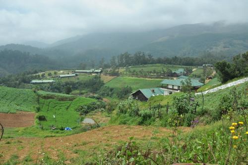 a view of a farm with mountains in the background at Destiny - The Farm Resort in Ooty