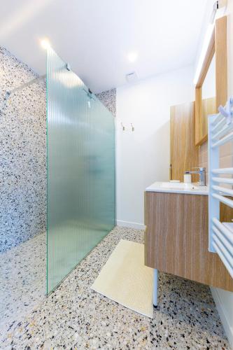 une salle de bain avec une douche en verre avec un lavabo dans l'établissement Les Amarres 6 pers Dunes et Mer Blériot plage, à Sangatte
