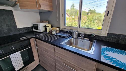 une cuisine avec un évier et une fenêtre dans l'établissement Studio Villa Monica, à Vallauris