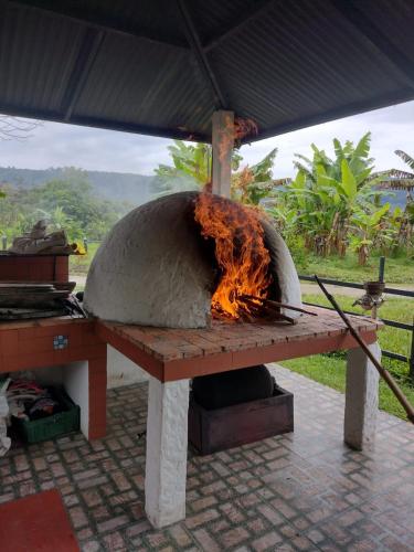 a pizza oven with fire coming out of it at Hotel Campestre El Triunfo in San Agustín
