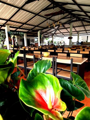 a restaurant with benches and a flower in the foreground at Hotel Campestre El Triunfo in San Agustín