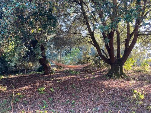 Ảnh trong thư viện ảnh của Villa centre ville SOULAC sur Mer ở Soulac-sur-Mer