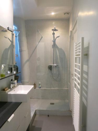 une salle de bain avec douche et lavabo dans l'établissement ROOMMATE SHARE COLOCATION 1 bedroom in two bedroom Luxe Marais Bretagne CityCosy, à Paris