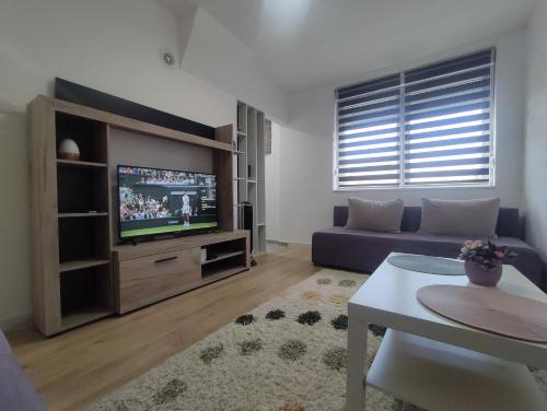 un salon avec un canapé et une télévision dans l'établissement Pesacka Zona Apartment, à Novi Pazar