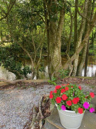 a white pot filled with red and pink flowers at River Run Cottage Modern 2BR Waterfront Retreat in Linville Land Harbor in Newland