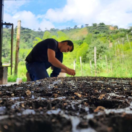 a man is looking down at a dirt field at Hotel Campestre El Triunfo in San Agustín