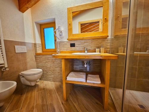 a bathroom with a sink and a toilet at La Genzianella affittacamere in Santo Stefano dʼAveto