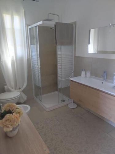 a bathroom with a shower and a tub and a toilet at Mono Lu Lioni in Lu Lioni
