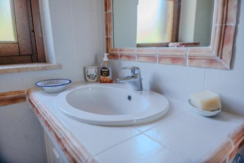 a bathroom sink with a mirror and a bottle of soap at Il Borgo nel bosco in Canterano