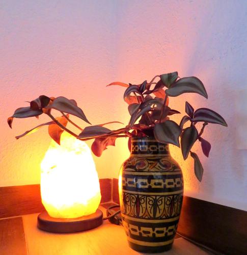 two vases sitting on a table with a plant in them at El Encanto in Monachil
