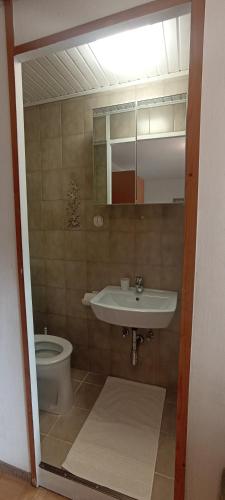Un baño de Ferienhaus Pieschl