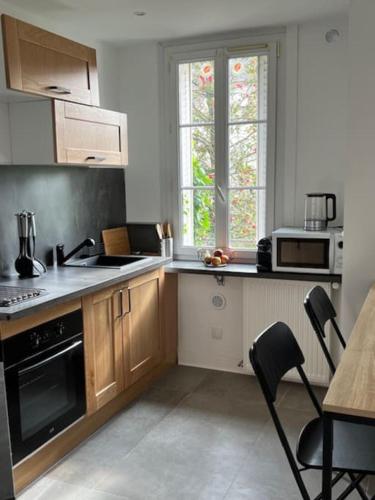 une cuisine avec un évier et une cuisinière four supérieur dans l'établissement Le Vaillant appartement Cosy, à Dijon