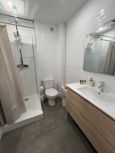 une salle de bain avec une douche, des toilettes et un lavabo dans l'établissement Le Vaillant appartement Cosy, à Dijon