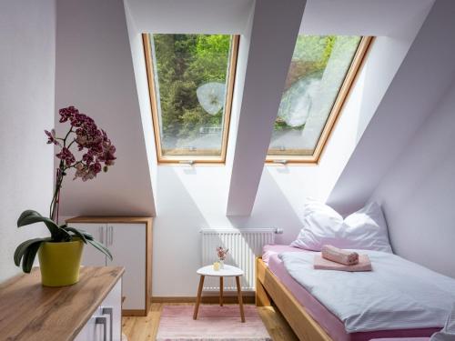 Apartment Pink Mandala by Interhome