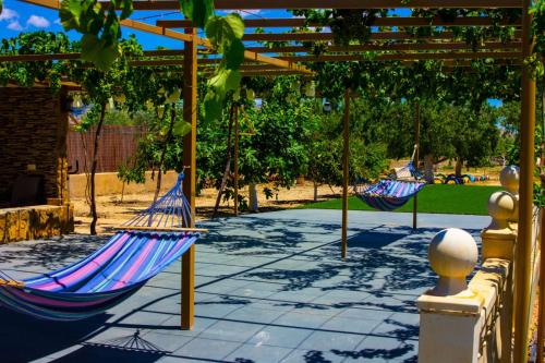 Finca moderna en ambiente rural, Agost