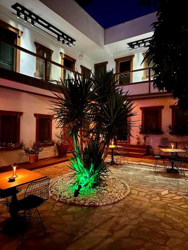 a courtyard with a palm tree in front of a building at Bodrum Konağı in Bodrum City