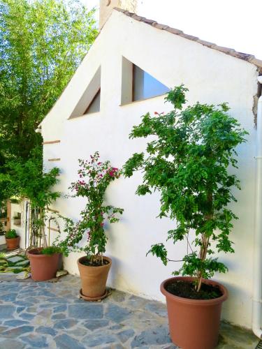a white building with two trees in pots in front of it at El Encanto in Monachil