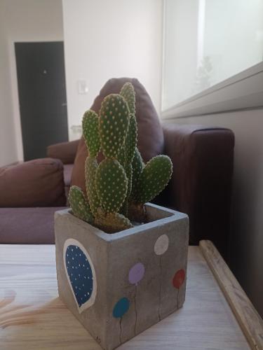 a cactus in a pot sitting on a table at Duplex Victoria in Luján