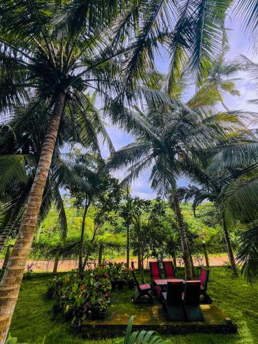 a group of palm trees with chairs under them at Lake View Villa - Tangalle in Tangalle