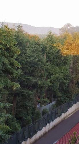 Φυσικό τοπίο κοντά σε αυτό το διαμέρισμα